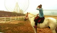 我的骑马初体验