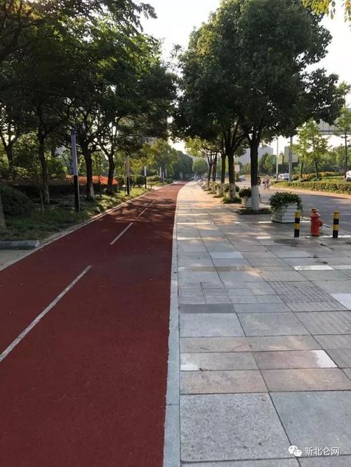 道来自慢