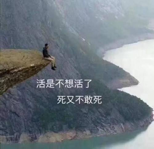 其实我了解