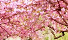 与阳光同行观后感