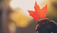 我读懂了校园的小道