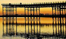 最好的选择靠自己