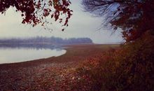 湖边漫步诗为侣