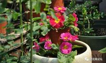 一路有你，一路花开