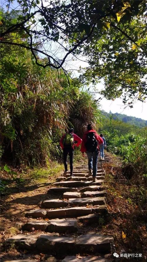 另一种徒步旅行