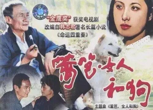向您推荐电视节目