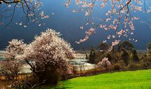 我和春天的美丽约会