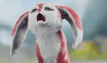 触动我心灵的那一幕