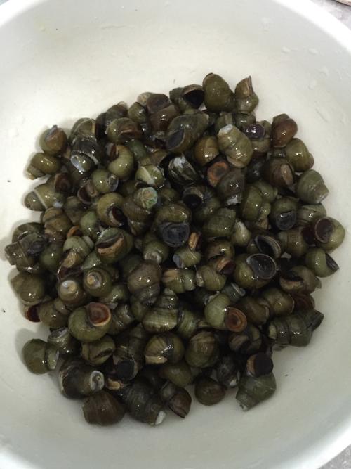 我是妈妈的小蜗牛