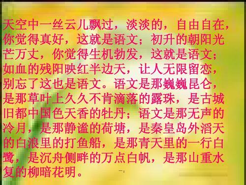 心的语言