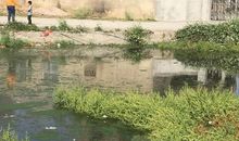 池塘里的小发现