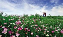 投入花海的拥抱