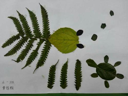 小乌龟和小金鱼