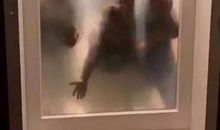 厕所是我的乐园