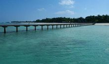 随处可见的风景