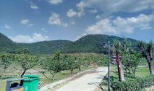 现在的天没有儿时的蓝