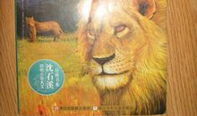 伟大的母爱——读《红飘带狮王》有感