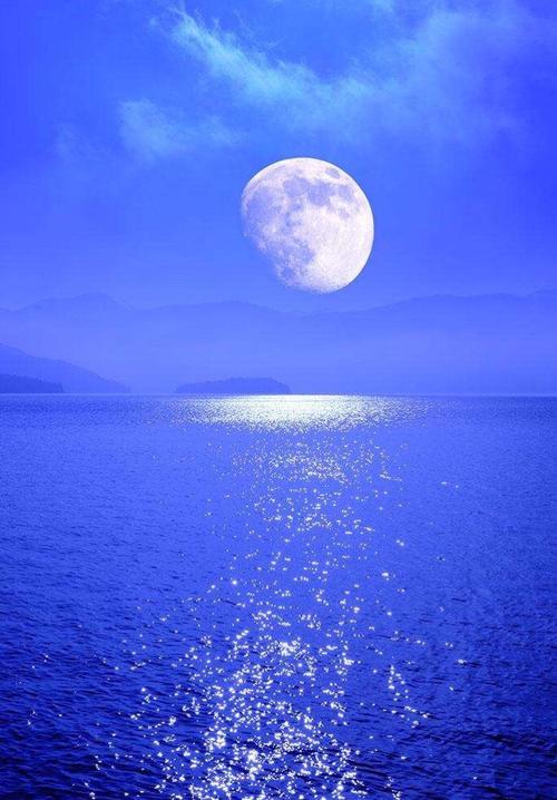 安静的月夜