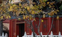 就这样欣赏着美景长大