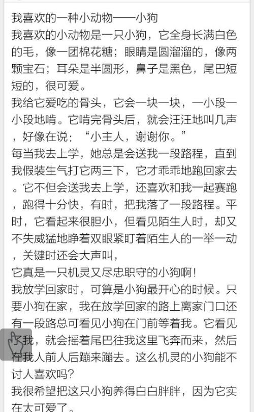 我和动物之间的故事组成200个单词