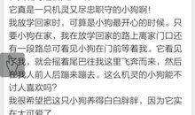 我和小动物之间的故事作文200字