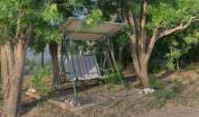 那有趣的肥皂果树