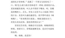 家乡的杨梅作文300字三年级