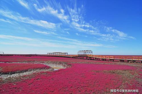 知识天堂