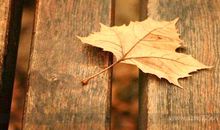 有趣的农村时光