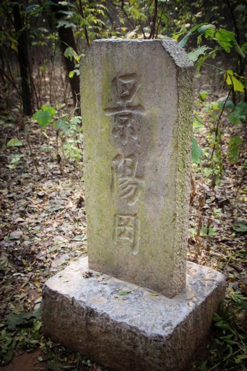 穿越靖阳港