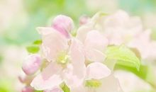 “多面派”老妈