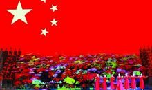 那个背影滋润了我的心田