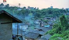 听山坳里那株老柚说话