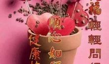 阻挡不了的思念之情