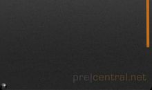 一只“黑色战将”