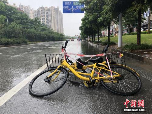享受时间海洋中的独特光芒