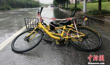 在时间的汪洋享受独美亮光