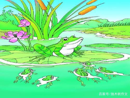 帮助妈妈洗菜，看照片和写一年级