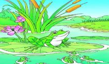 帮妈妈洗菜看图写话一年级