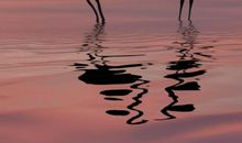 停下脚步，去看看