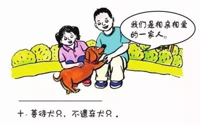 文明养犬使生活更美好