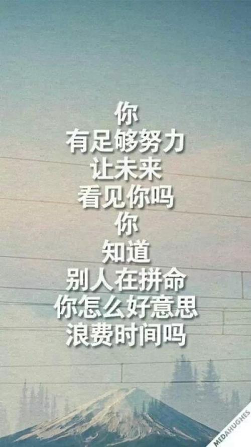 遗憾的努力