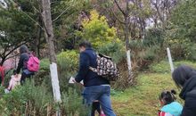 我在爬山中得到快乐