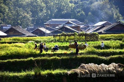 假期收获