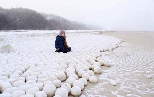 小灰和雪球