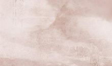 如果我有一只画笔