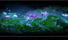 那个地方滋润了我的心田