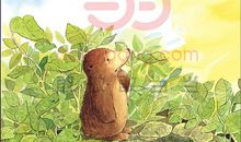 帮助别人是快乐的