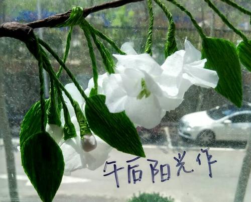 永不凋谢的花朵