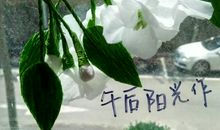 永不凋零的花